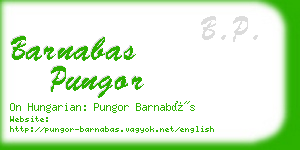 barnabas pungor business card